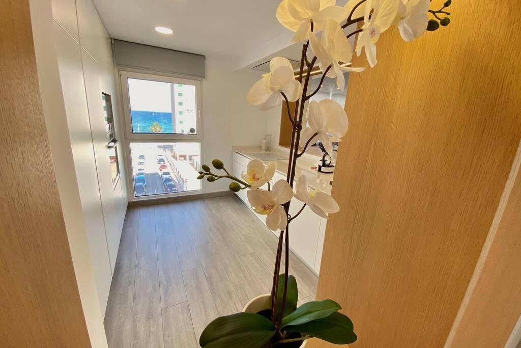 Central Modern Apartment 3 Bed 2 Bath El Campello Extérieur photo